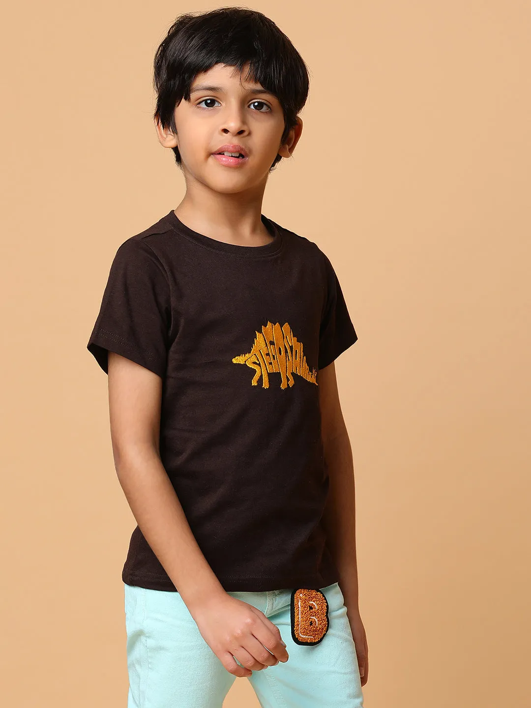 Boys Brown Embroidery Cotton T-shirt