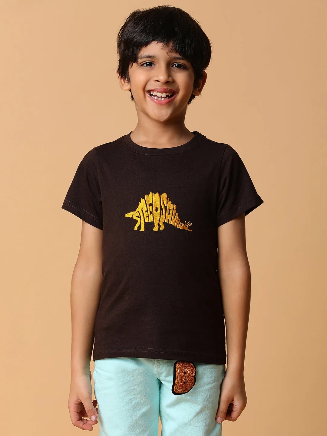 Boys Brown Embroidery Cotton T-shirt