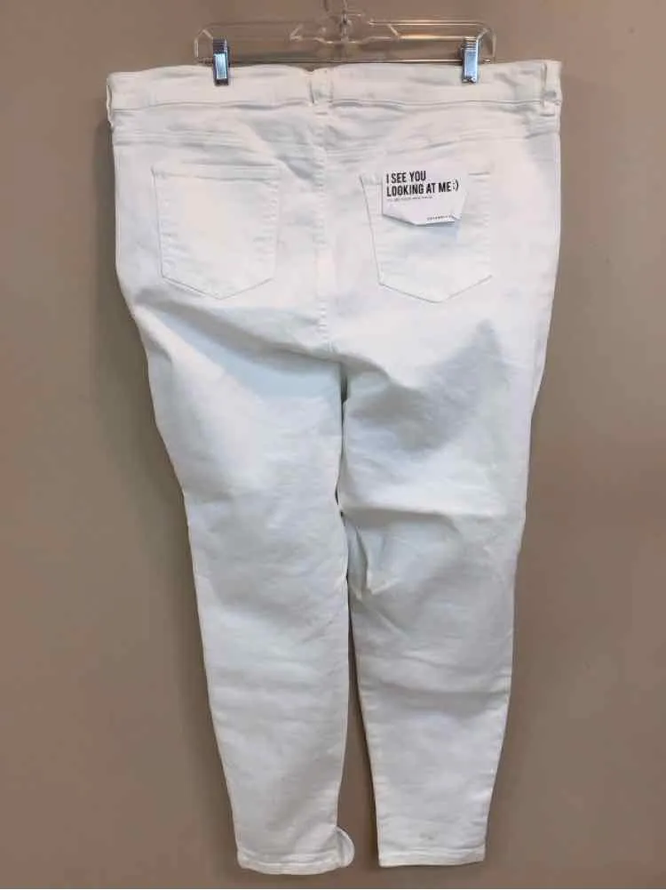 CELEBRITY PINK SIZE 22 Ladies PANTS