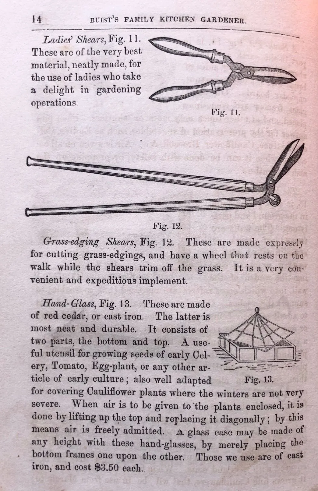 (Kitchen Gardening) Robert Buist. The Family Kitchen Gardener